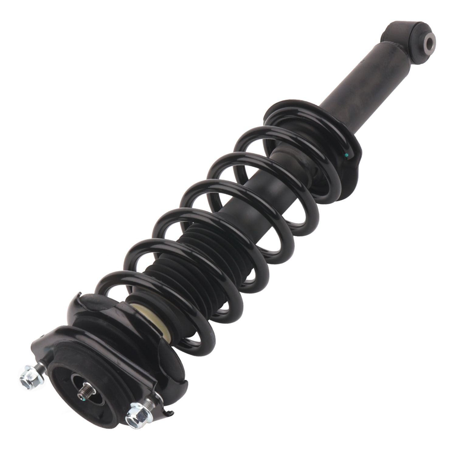 Suspension Strut and Coil Spring Assembly